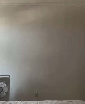 二道大屁股熟女